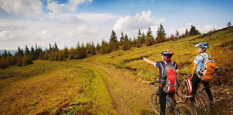 mountain bikers on trail