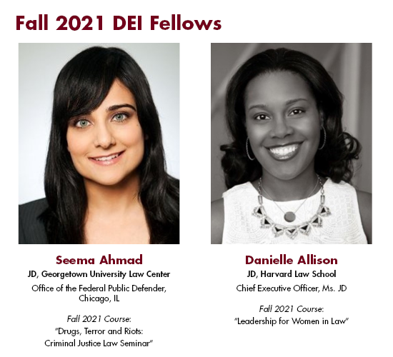Fall 2021 DEI Fellows