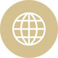 globe icon