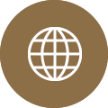 globe icon