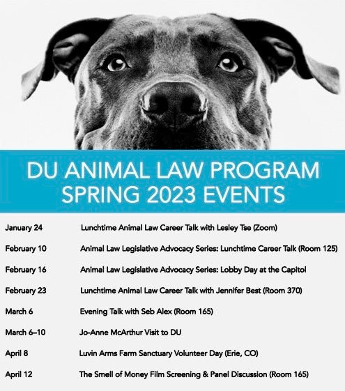 Event Flyer