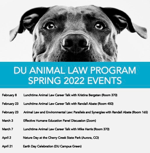 Event Flyer