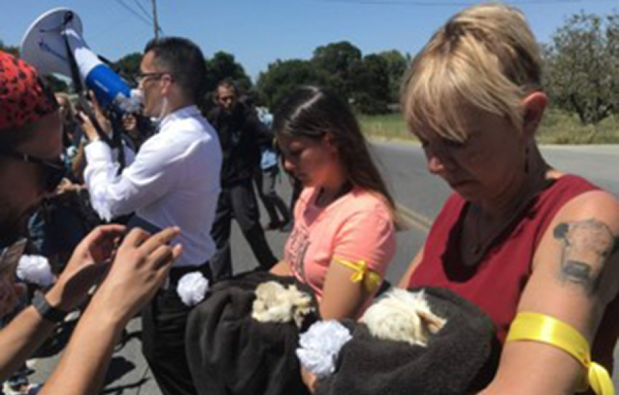 activists at protest with animals
