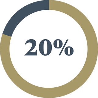 circle graph showing 20%