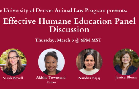 Effective Humane Education Panel Discussion