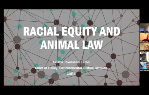 Racial Equity and Animal Law