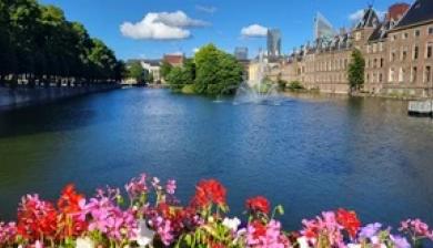 Tales from the Hague