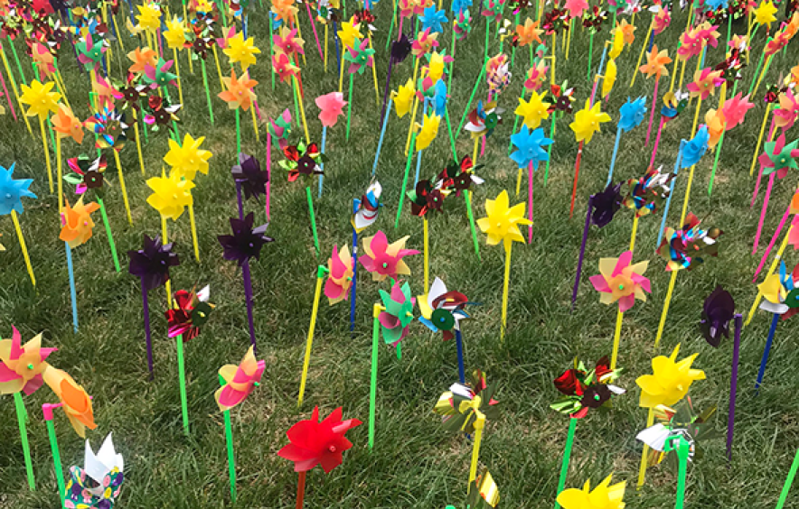 photo of pinwheels in grass